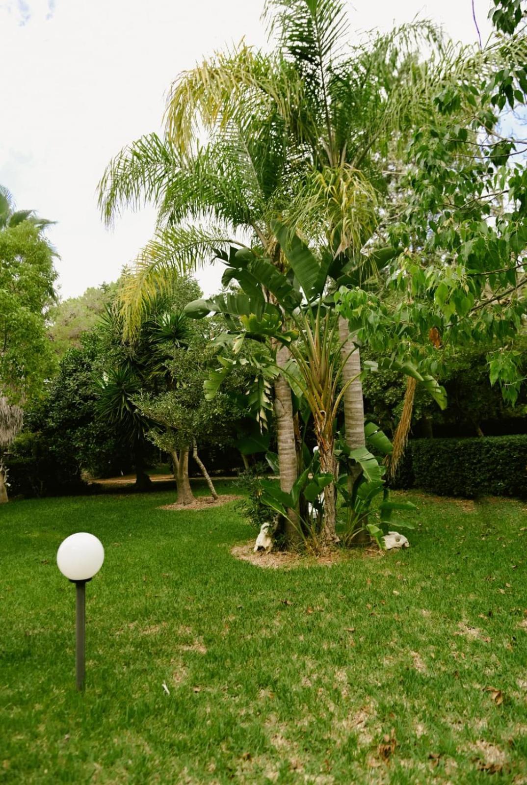 Appartamenti Frassanito Conca Specchiulla Exterior foto